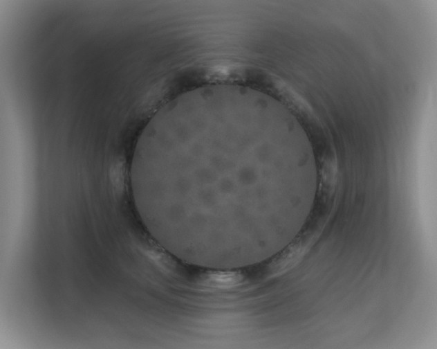 X0000111620659200907171245