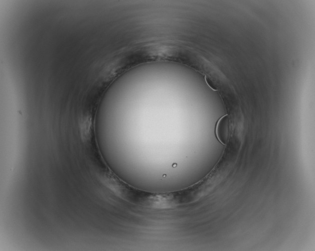 X0000111620660200907171245