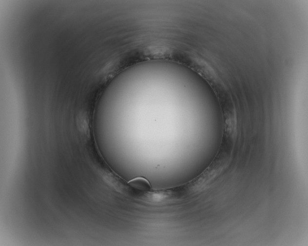 X0000111620662200907171245