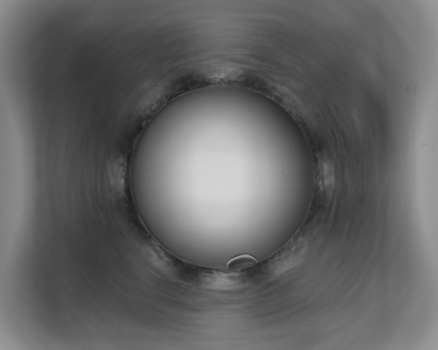 X0000111620664200907171245