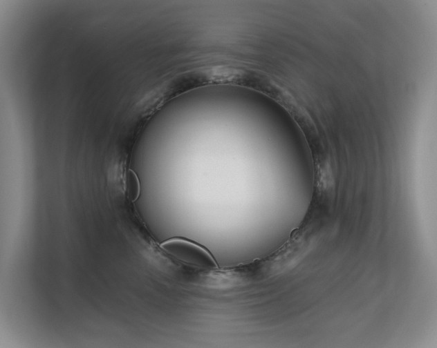 X0000111620666200907171245