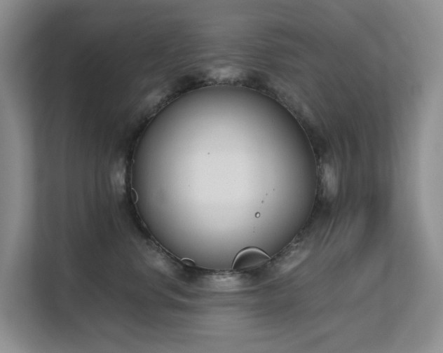 X0000111620668200907171245