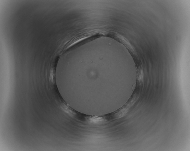 X0000111620669200907171245