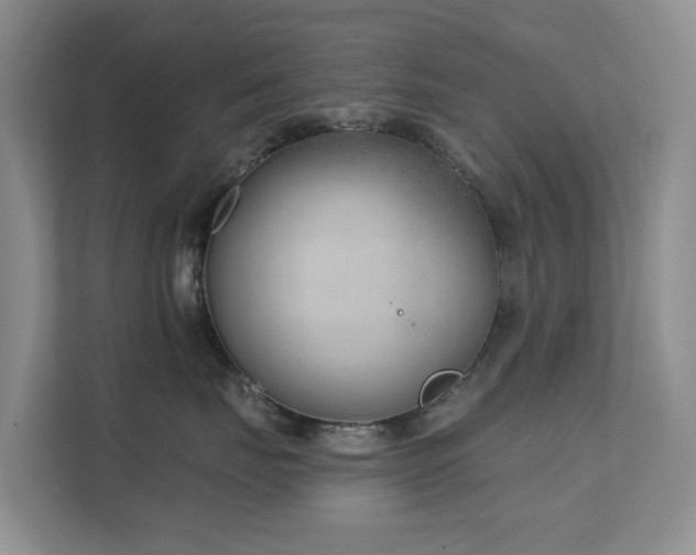 X0000111620671200907171245