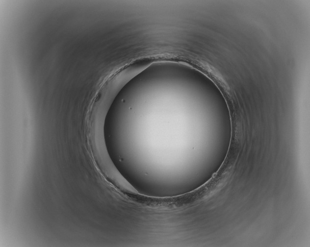 X0000111620673200907171244