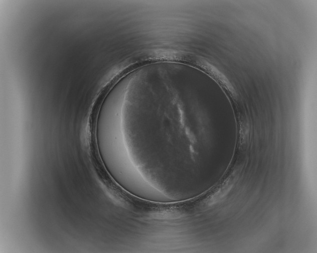 X0000111620674200907171244