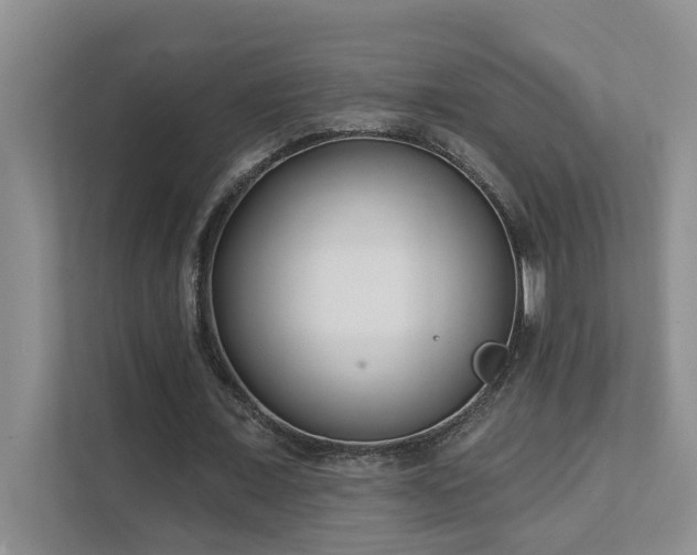 X0000111620675200907171244