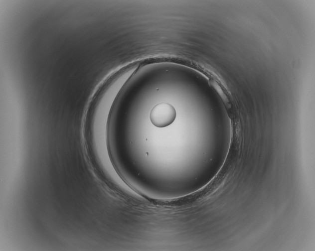 X0000111620676200907171244