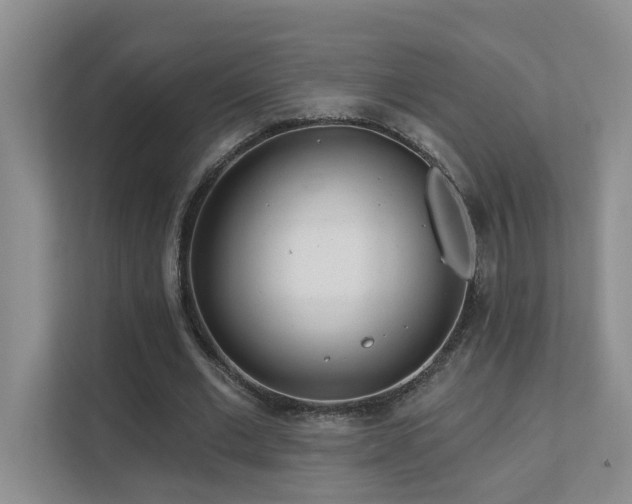 X0000111620677200907171244