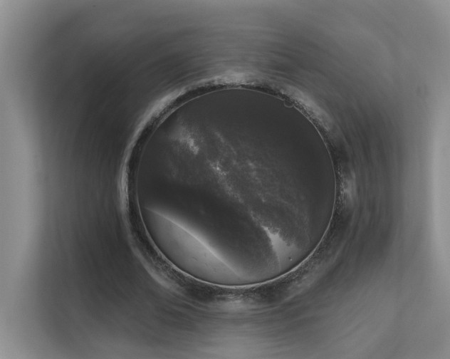 X0000111620678200907171244