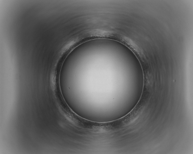 X0000111620679200907171244