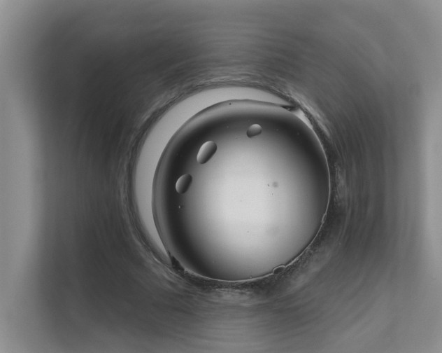 X0000111620681200907171244