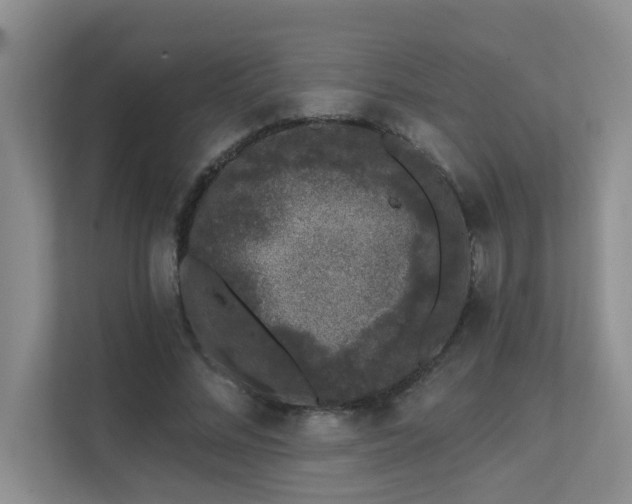 X0000111620684200907171244