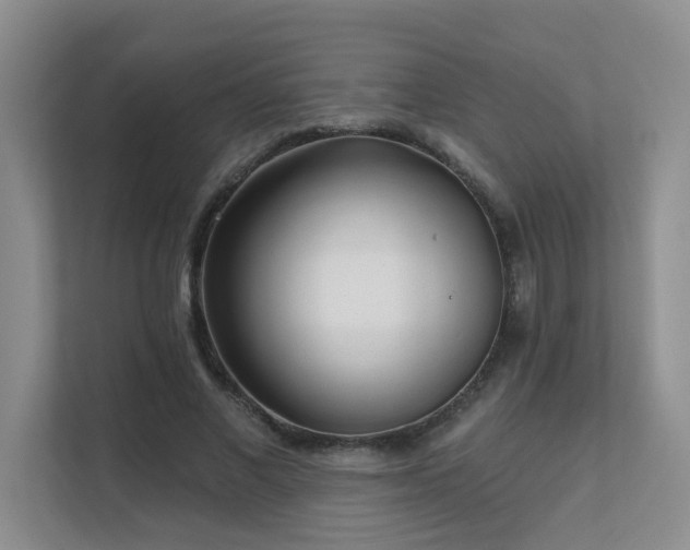 X0000111620685200907171244