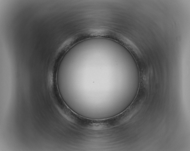 X0000111620686200907171244