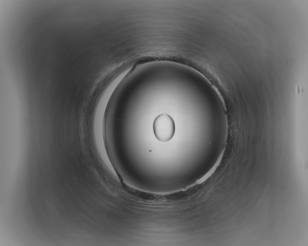 X0000111620688200907171244