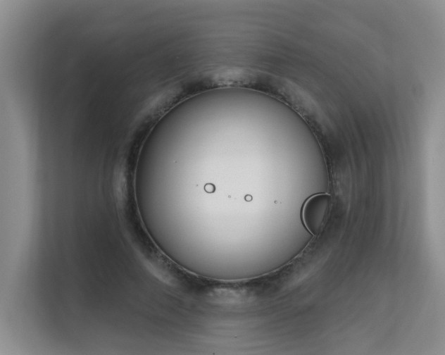 X0000111620690200907171244