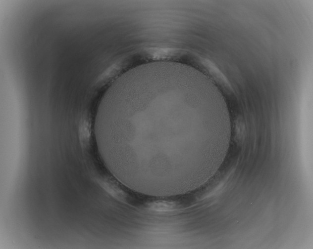 X0000111620691200907171244