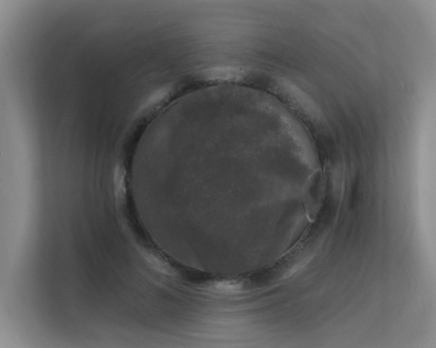 X0000111620692200907171244