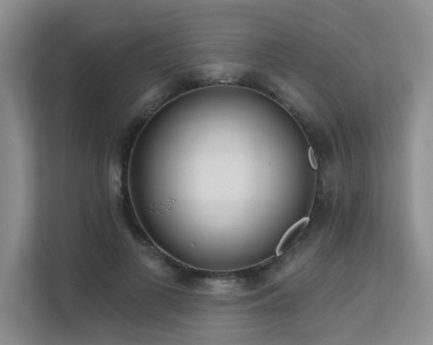 X0000111620693200907171244