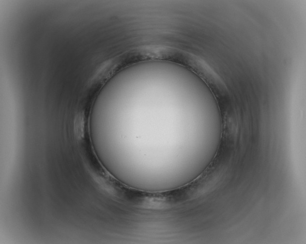 X0000111620694200907171244