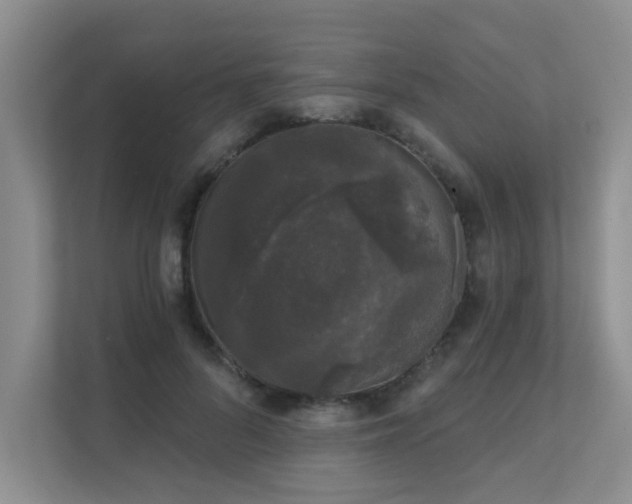X0000111620696200907171244