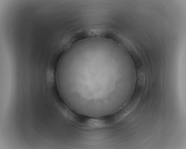 X0000111620699200907171244