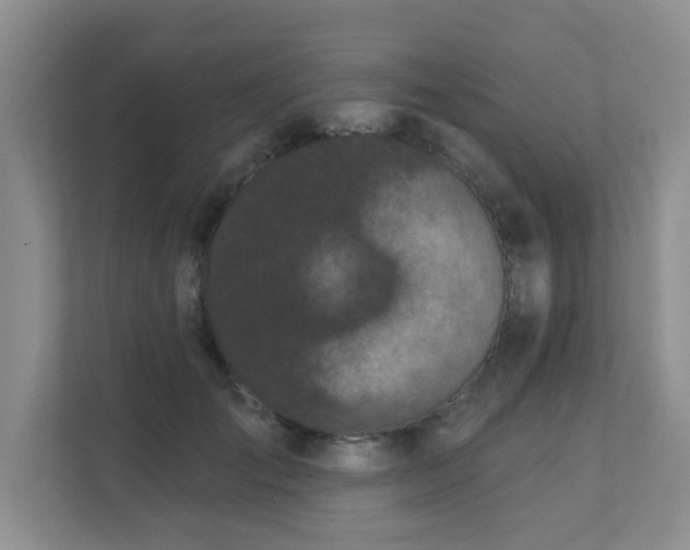 X0000111620701200907171244