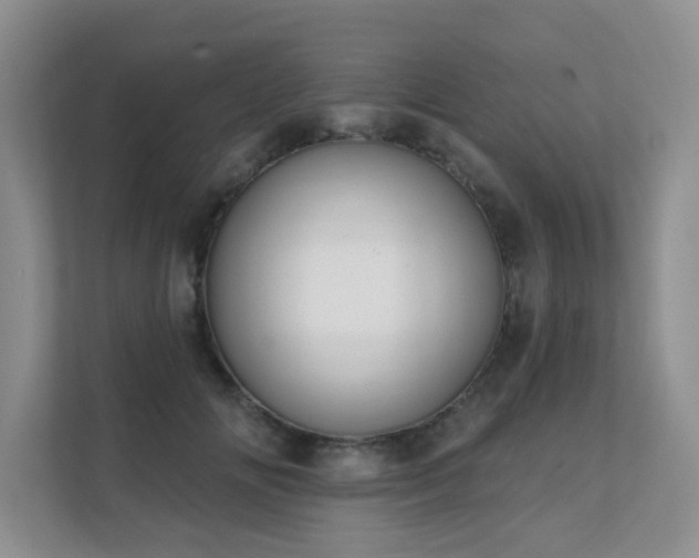 X0000111620702200907171244