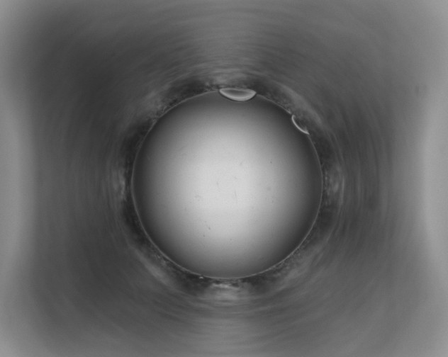 X0000111620703200907171244