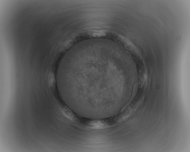 X0000111620704200907171244