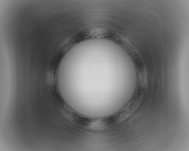 X0000111620705200907171244