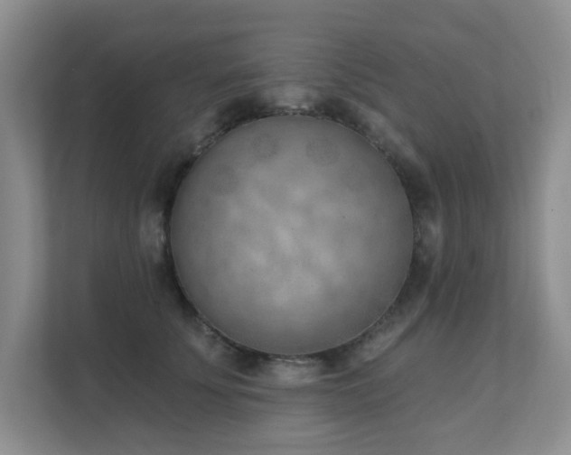 X0000111620707200907171244