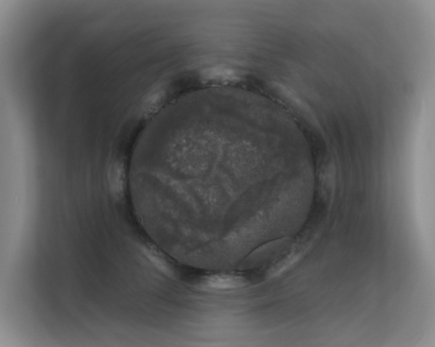 X0000111620708200907171244