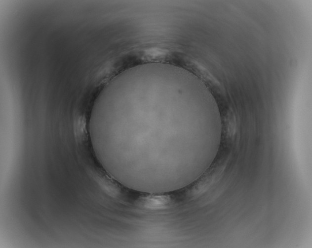 X0000111620711200907171244