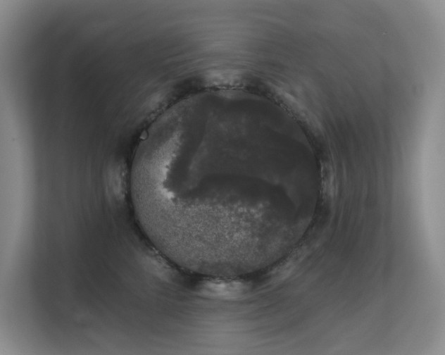 X0000111620712200907171244