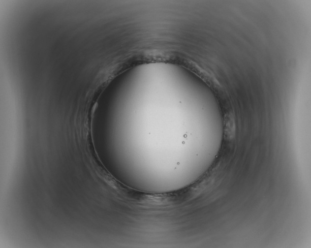 X0000111620713200907171244
