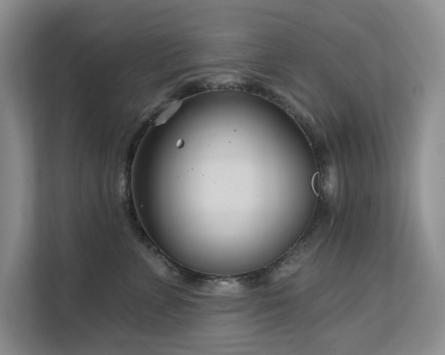 X0000111620715200907171244