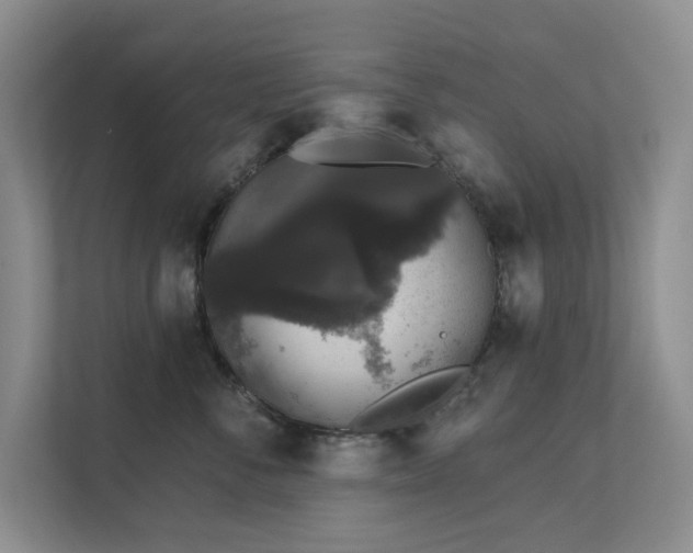 X0000111620716200907171244