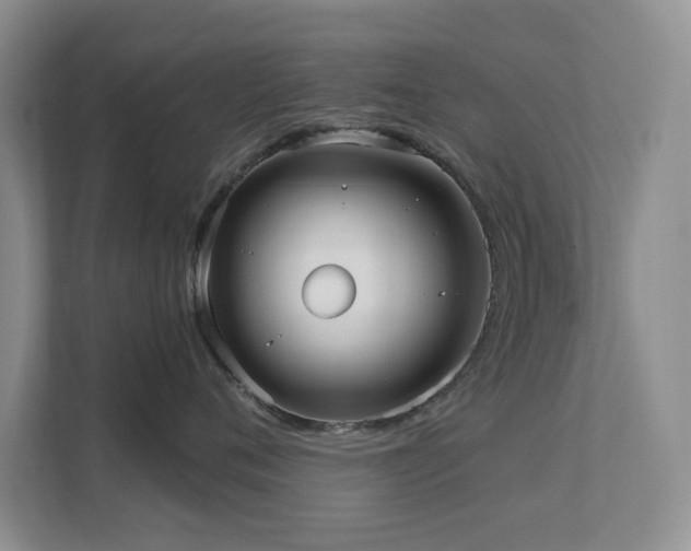 X0000111620720200907171244