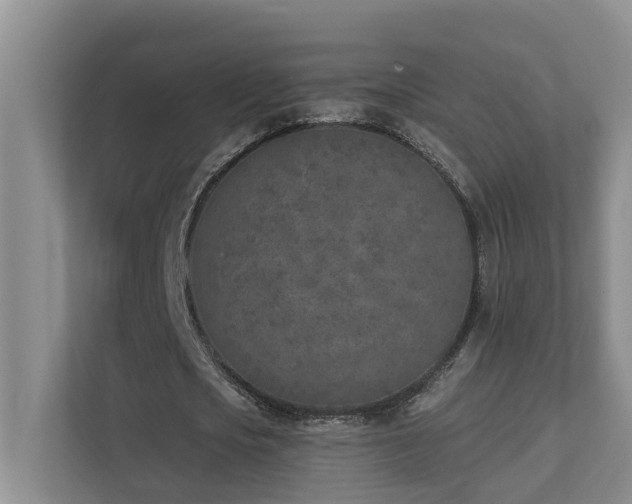X0000111620721200907171243