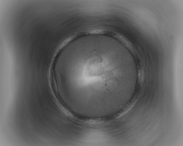 X0000111620725200907171243