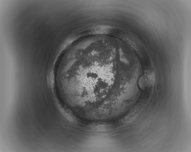 X0000111620726200907171243