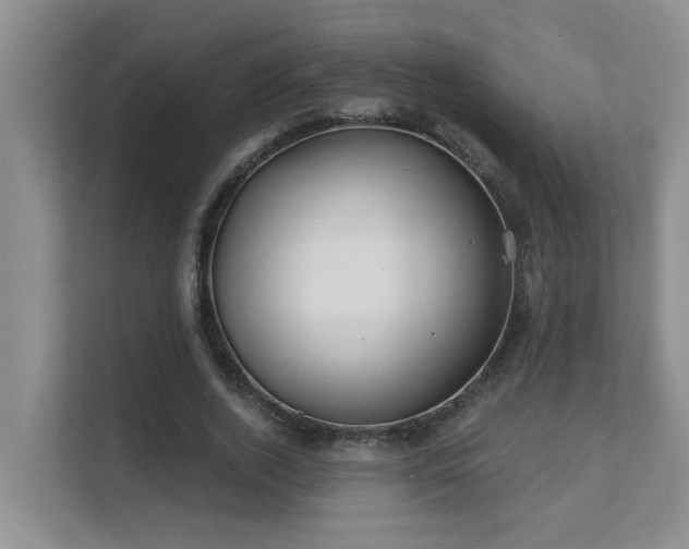 X0000111620728200907171243