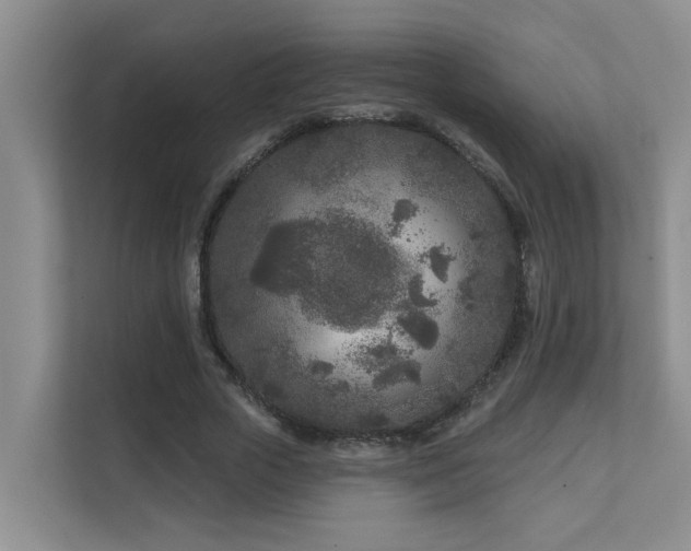 X0000111620729200907171243