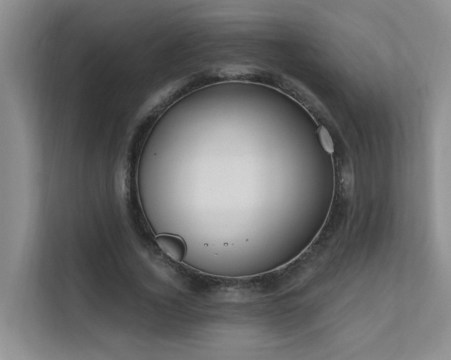 X0000111620732200907171243