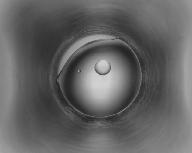 X0000111620736200907171243