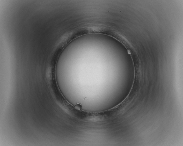 X0000111620738200907171243