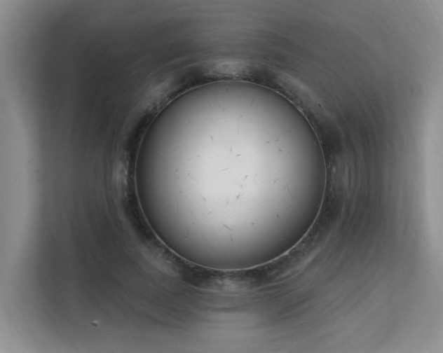 X0000111620739200907171243