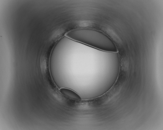 X0000111620740200907171244
